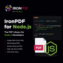 IronPDF NodeJS Professional 5 Year Maintenance, team license