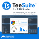 TeeSuite Professional 2025 for RAD Studio with source code + 1 Year maintenance, 2 users