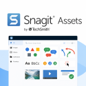 Snagit Assets 1 year subscription, 100+ users, Price per user