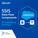 SSIS Data Flow Components for Salesforce Developer