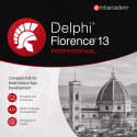 Delphi Florence 13 Professional