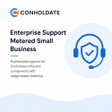 Enterprise Support Metered Small Business