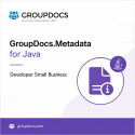 GroupDocs.Metadata for Java Developer Small Business