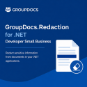 GroupDocs.Redaction for .NET Developer Small Business