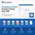 GroupDocs.Viewer Product Family Site SDK
