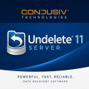 Undelete 11 Server