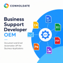 Business Support Developer OEM