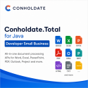 Conholdate.Total for Java Developer Small Business