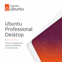 Ubuntu Professional Desktop