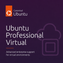 Ubuntu Professional Virtual