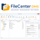 FileCenter DMS 12 Standard, single user